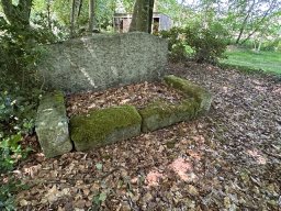 IMG_0262